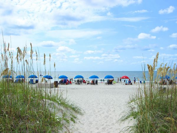 Hilton Head Condo 1008571