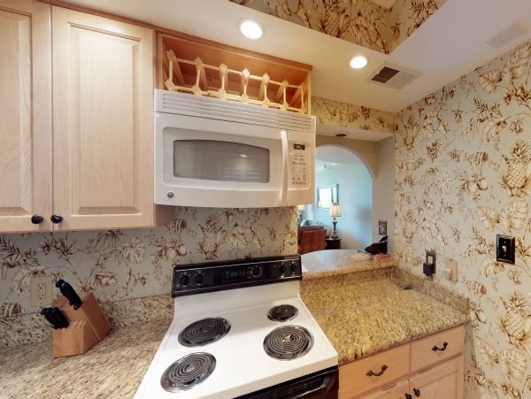 Hilton Head Condo 1008575