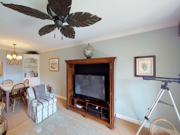 Hilton Head Condo 1008575