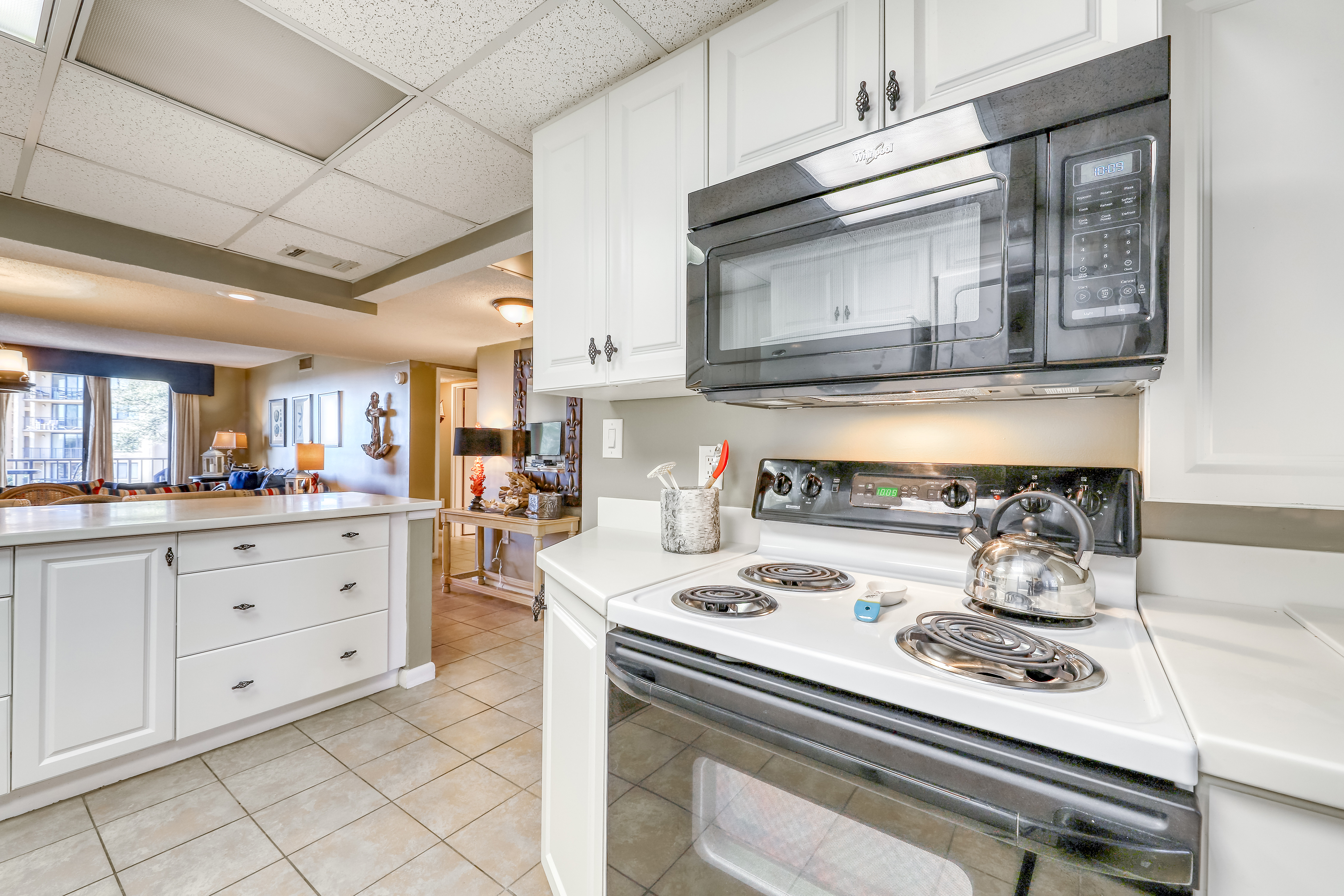 Hilton Head Condo 1008578