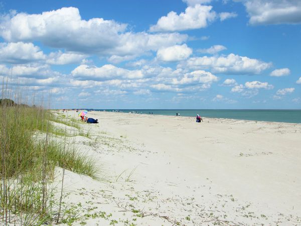 Hilton Head Condo 1008584