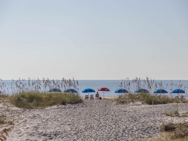 Hilton Head Condo 1008584