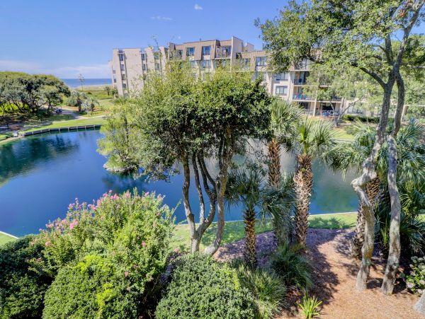 Hilton Head Condo 1008587