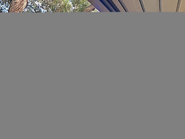 Hilton Head Condo 1008596