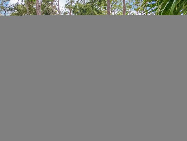Hilton Head Condo 1008596