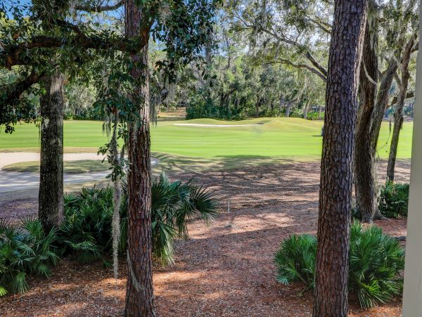 Hilton Head Condo 1008596