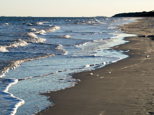 Hilton Head Condo 1008596