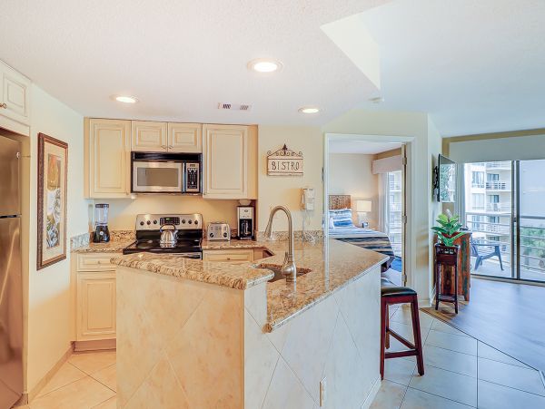 Hilton Head Condo 1008598