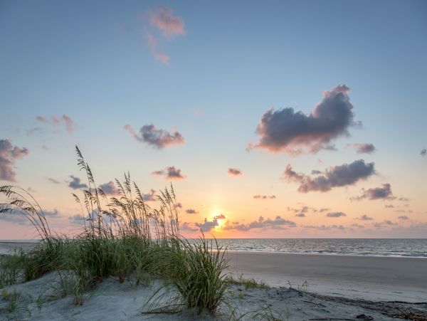 Hilton Head Condo 1008609