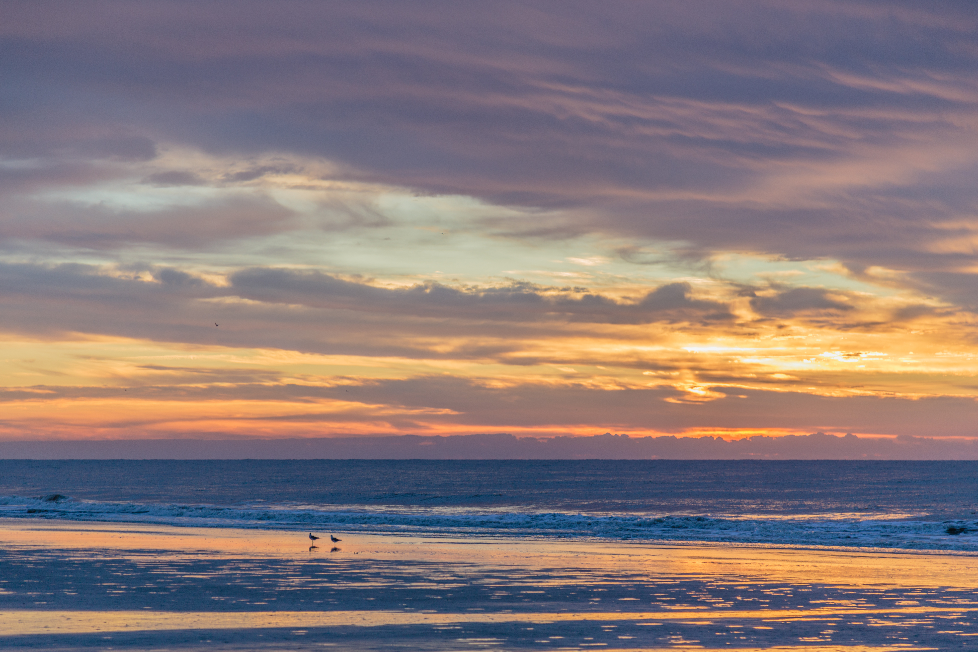 Hilton Head Condo 1008609