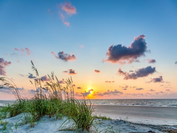 Hilton Head Condo 1008612