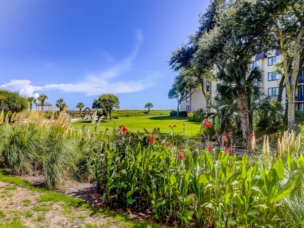 Hilton Head Condo 1008614