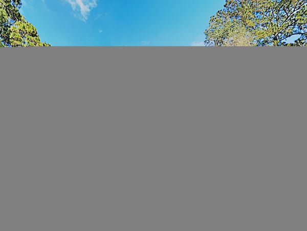 Hilton Head Condo 1008619