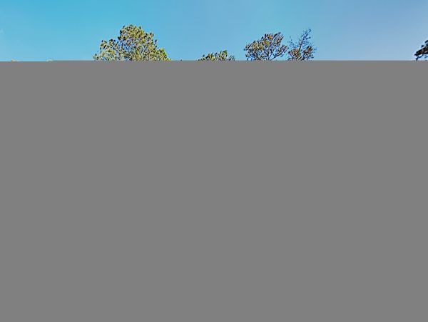 Hilton Head Condo 1008619