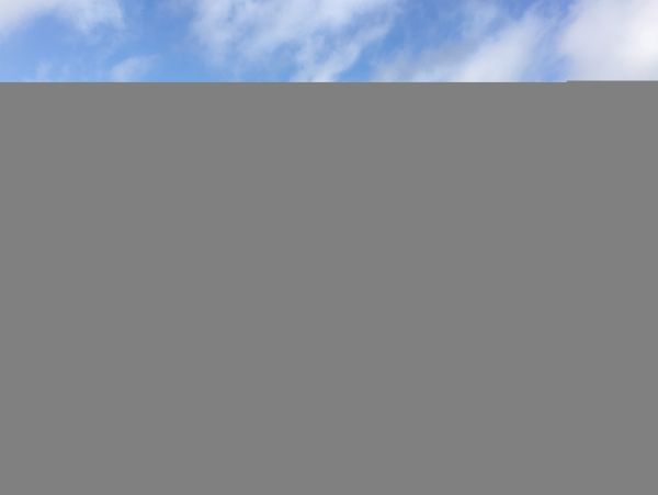 Hilton Head Condo 1008619
