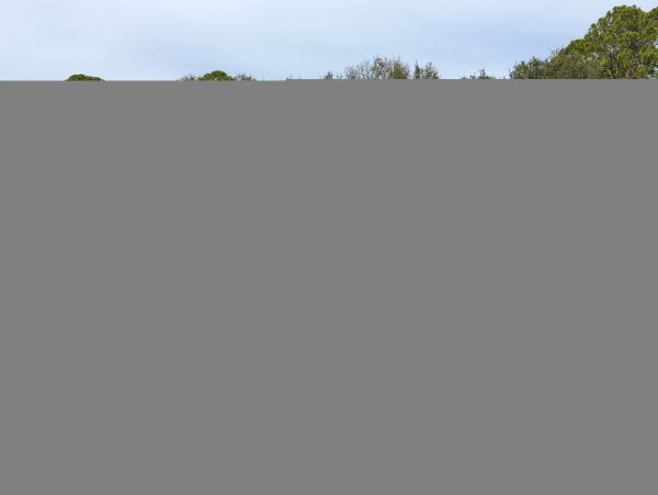 Hilton Head Condo 1008619