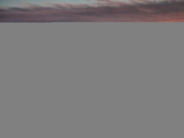 Hilton Head Condo 1008619
