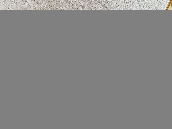 Hilton Head Condo 1008622