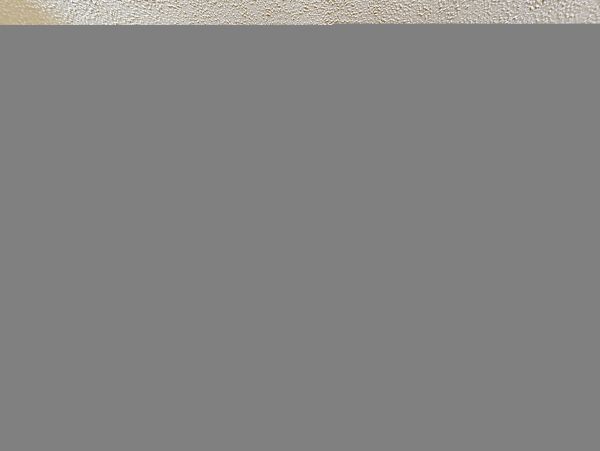 Hilton Head Condo 1008622