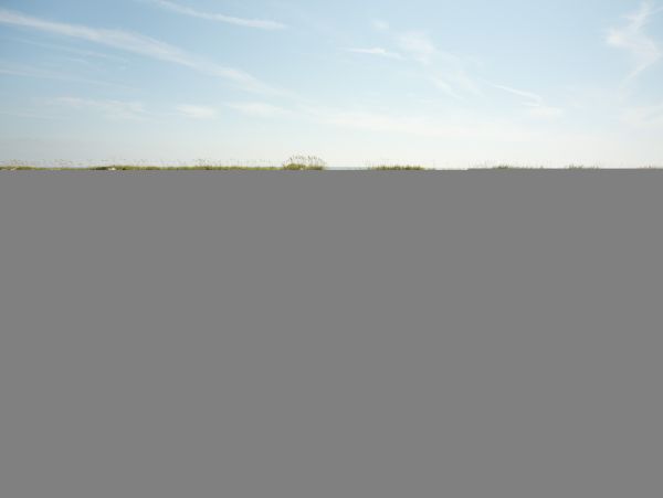 Hilton Head Condo 1008622