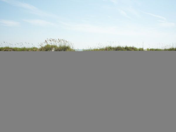Hilton Head Condo 1008622