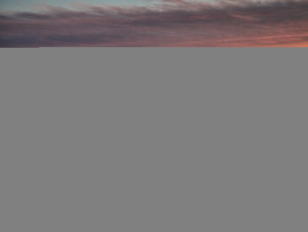 Hilton Head Condo 1008622