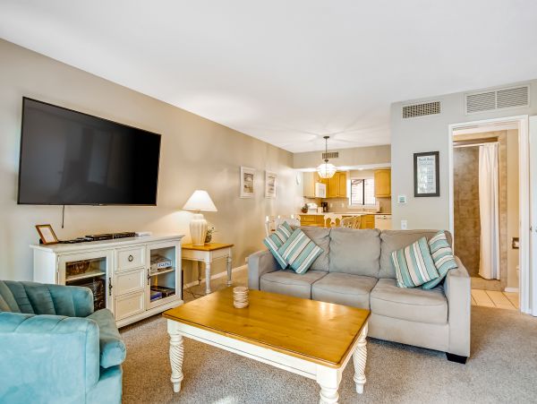 Hilton Head Condo 1008624