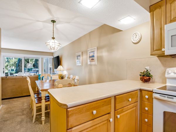 Hilton Head Condo 1008624
