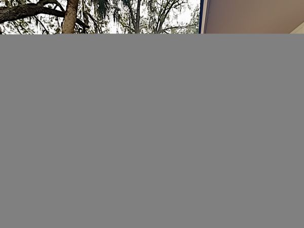 Hilton Head Condo 1008625