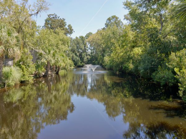 Hilton Head Condo 1008625