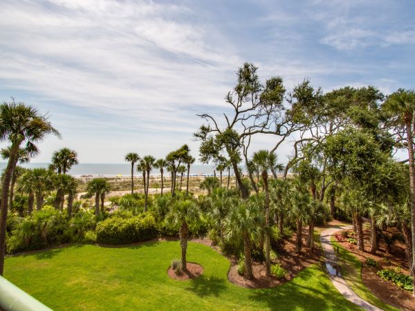 Hilton Head Condo 1008627