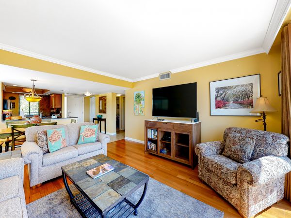 Hilton Head Condo 1008629