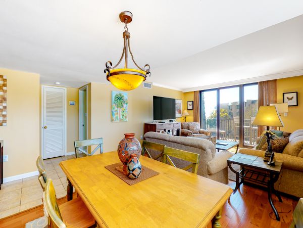 Hilton Head Condo 1008629