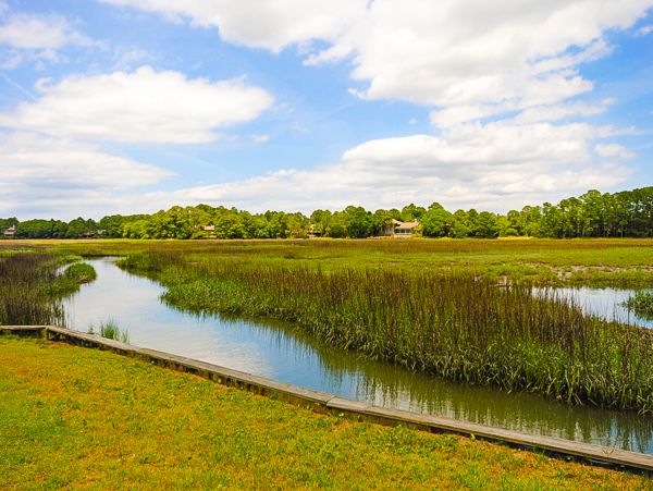 Hilton Head Home 1008633