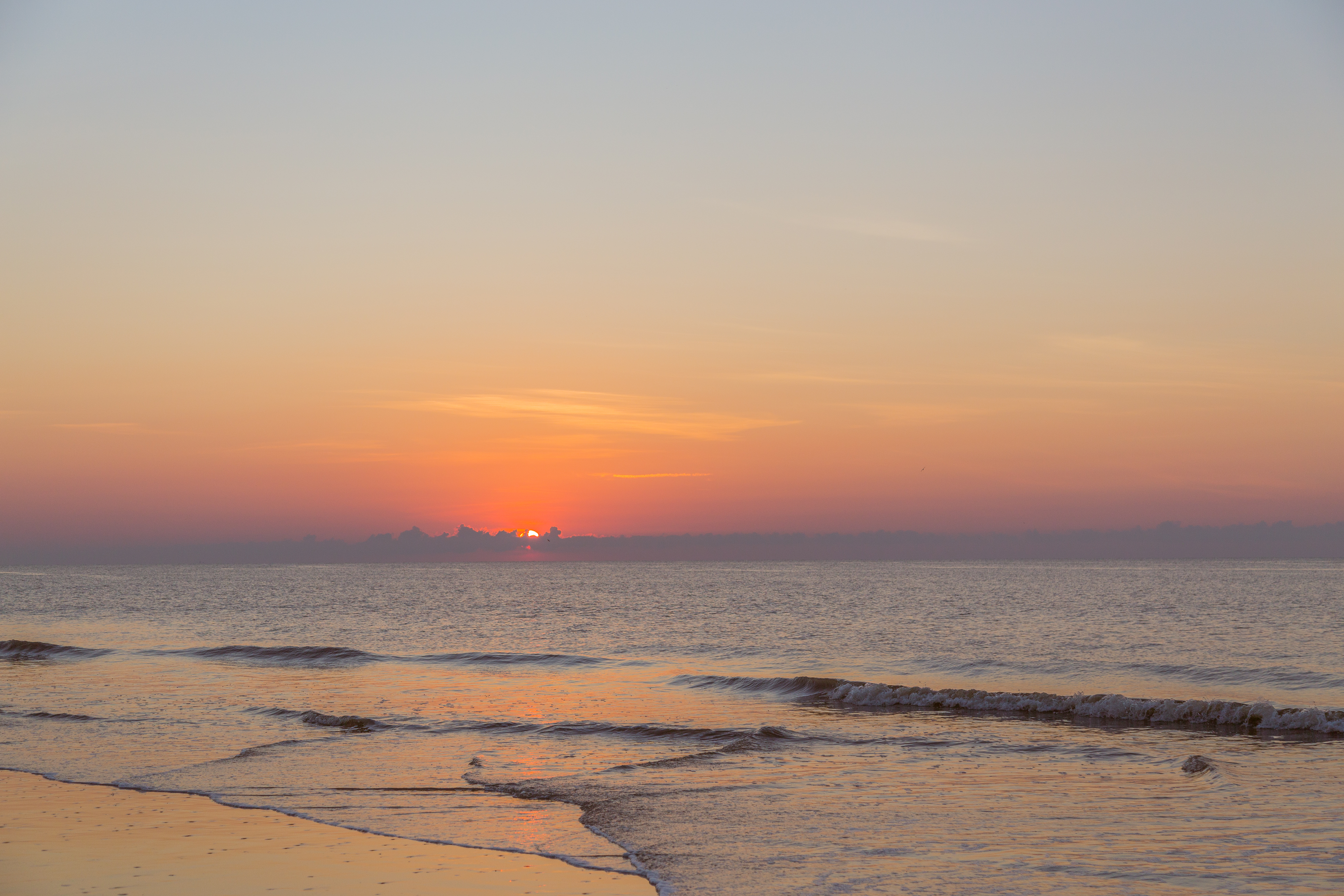 Hilton Head Condo 1008636