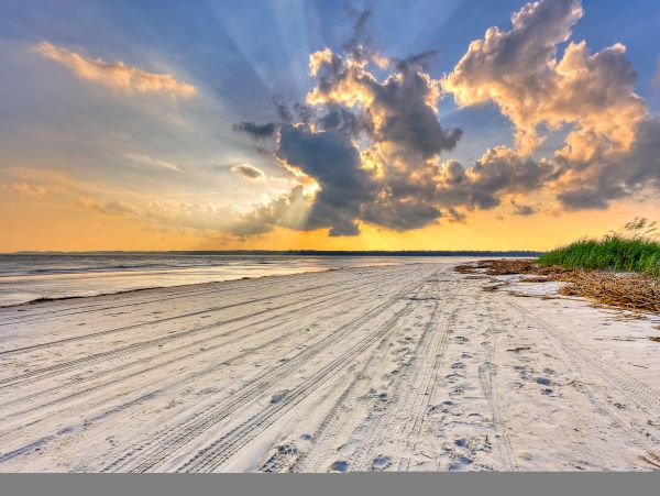Hilton Head Condo 1008637
