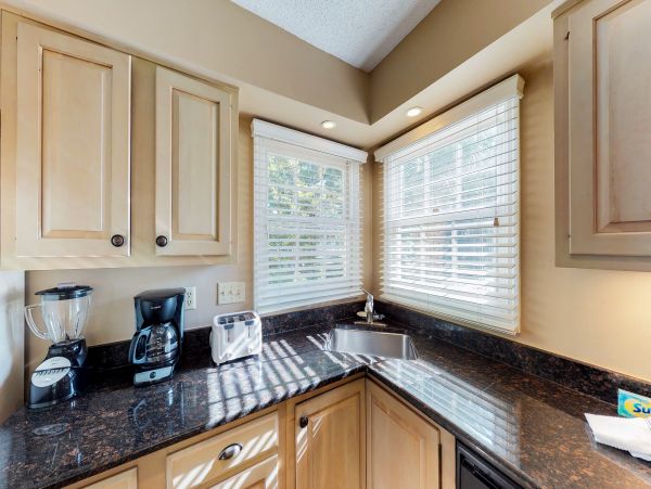 Hilton Head Condo 1008648
