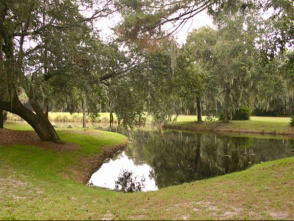 Hilton Head Condo 1008648