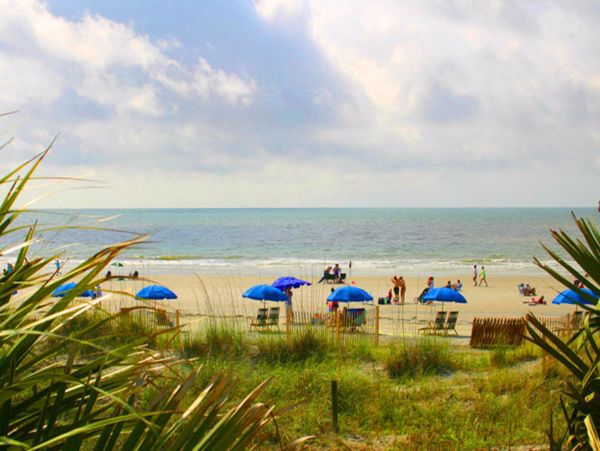 Hilton Head Condo 1008648