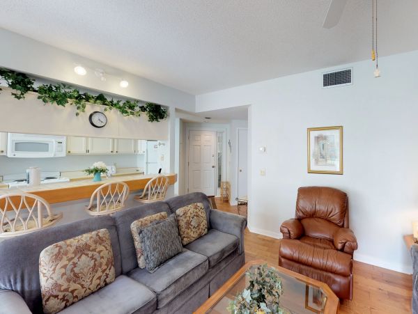 Hilton Head Condo 1008650