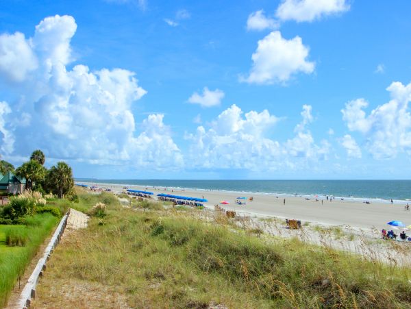 Hilton Head Condo 1008650