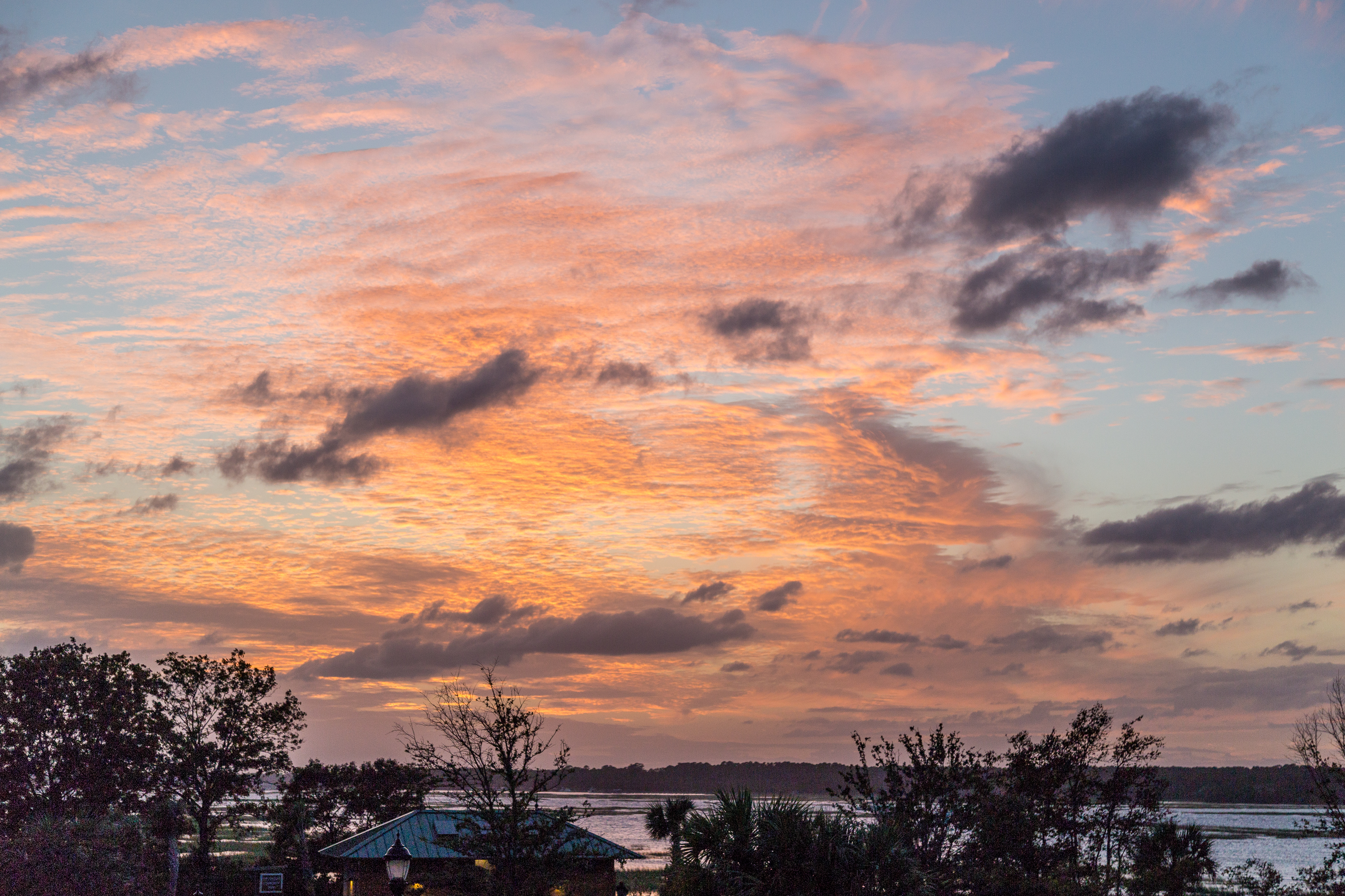 Hilton Head Condo 1008650