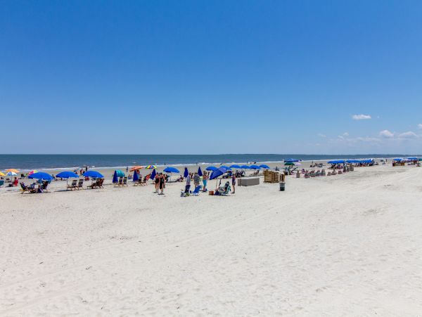 Hilton Head Condo 1008653