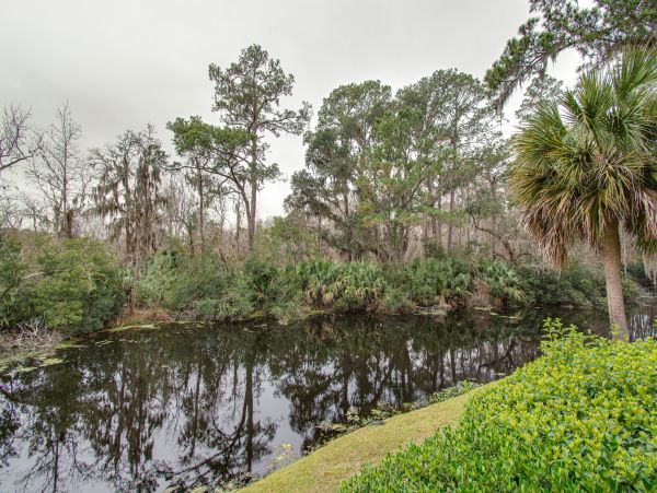 Hilton Head Home 1008668