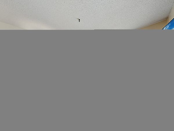 Hilton Head Condo 1008671
