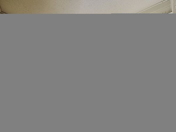 Hilton Head Condo 1008671