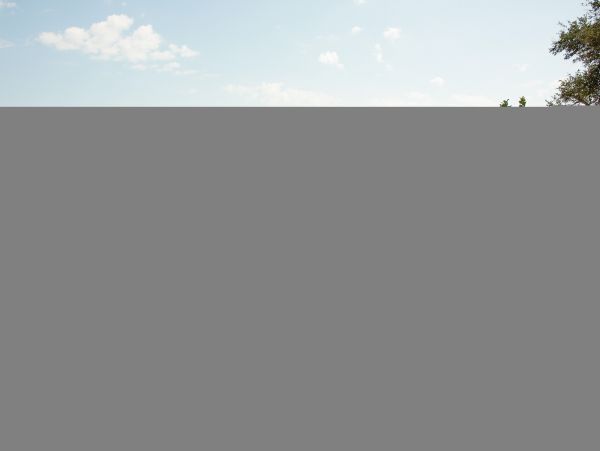 Hilton Head Condo 1008671