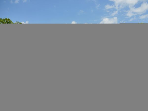 Hilton Head Condo 1008671