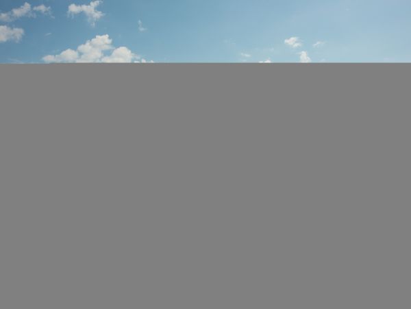 Hilton Head Condo 1008671