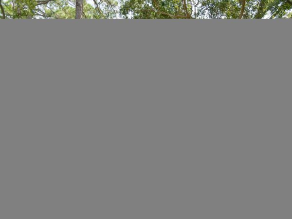 Hilton Head Condo 1008671
